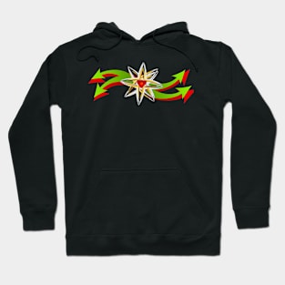 Arrow designs Hoodie